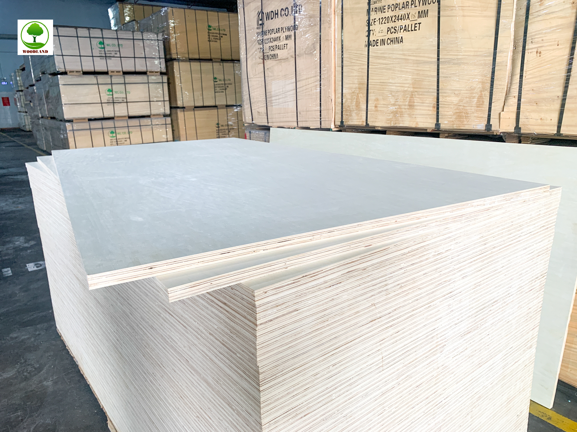 Plywood Marine – Dòng Ván Chịu Nước Cao Cấp Cho Villa, Resort Ven Biển