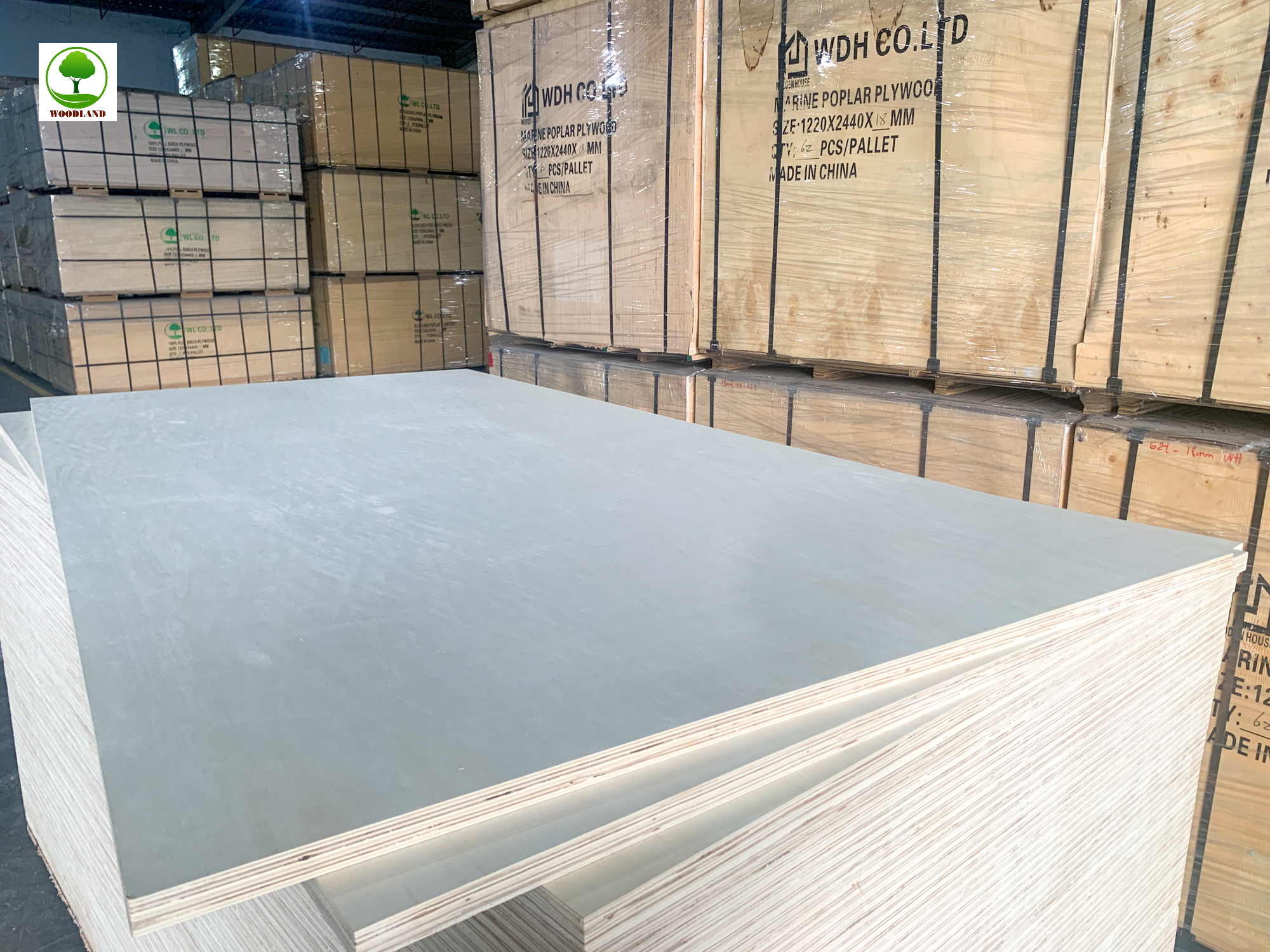 Plywood Marine – Dòng Ván Chịu Nước Cao Cấp Cho Villa, Resort Ven Biển