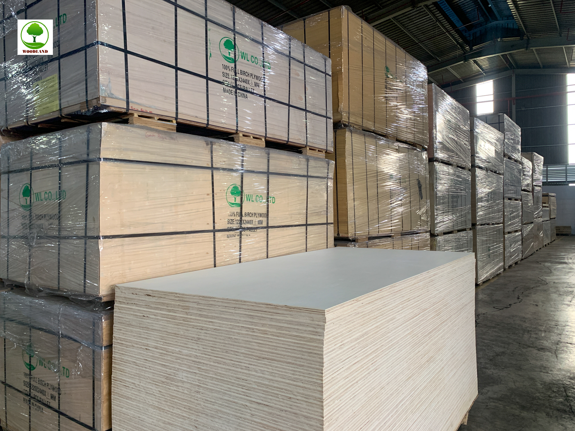 Plywood Marine – Dòng Ván Chịu Nước Cao Cấp Cho Villa, Resort Ven Biển